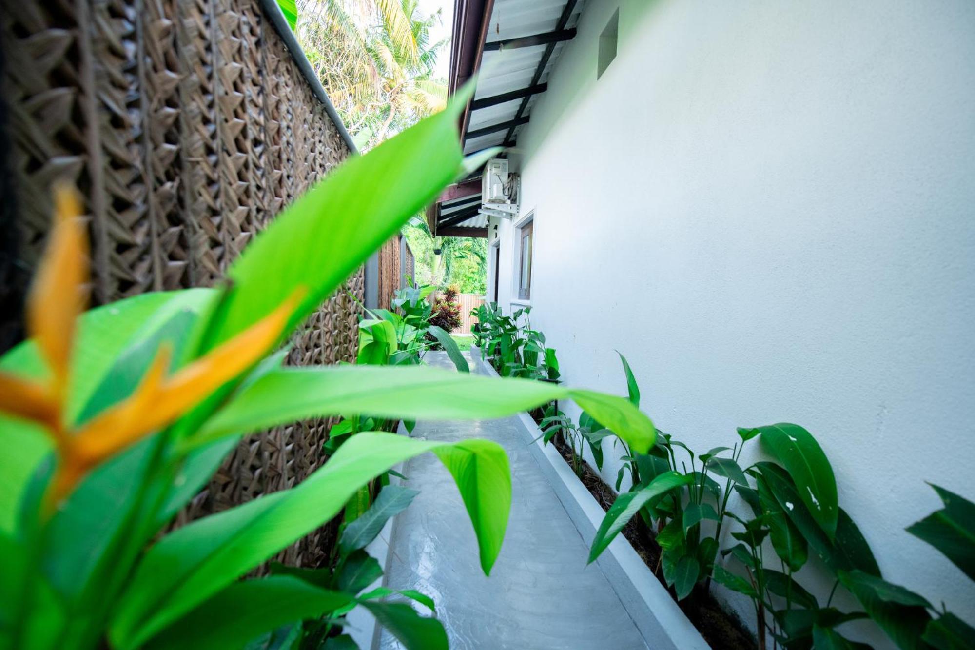 Luaya Beach Tangalle Exterior photo